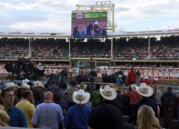 Transcourt customers were invited to enjoy the Rangeland Derby with the company.