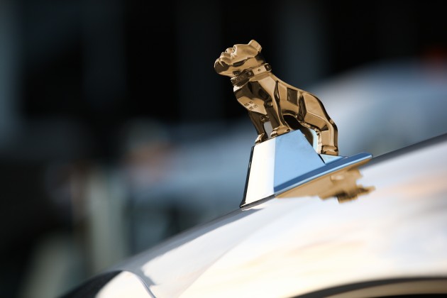 The gold bulldog symbolizes an all-Mack powertrain.